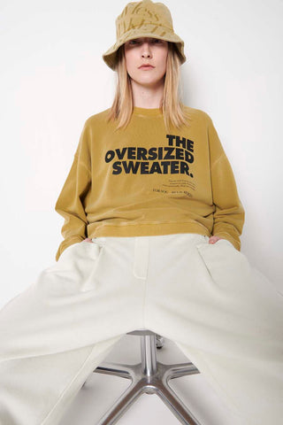 THE OVERSIZED SWEATER in pistachio